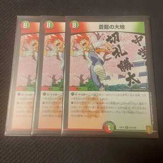 蒼龍の大地 3枚