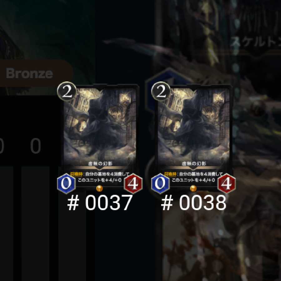 虚無の幻影 2枚セット