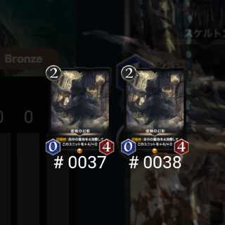 虚無の幻影 2枚セット