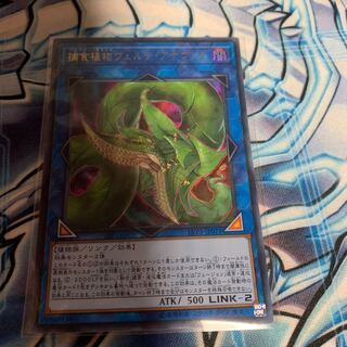 捕食植物ヴェルテ・アナコンダ ウルトラレア