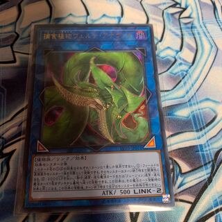 捕食植物ヴェルテ・アナコンダ ウルトラレア