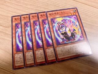 電脳堺豸-豸々 ノーマル　5枚♡おまけ付き♡