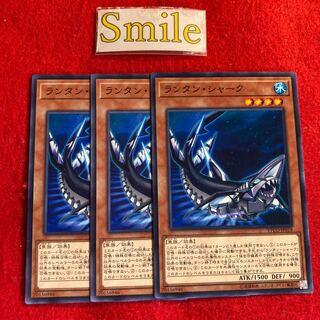 ランタン・シャーク#1756