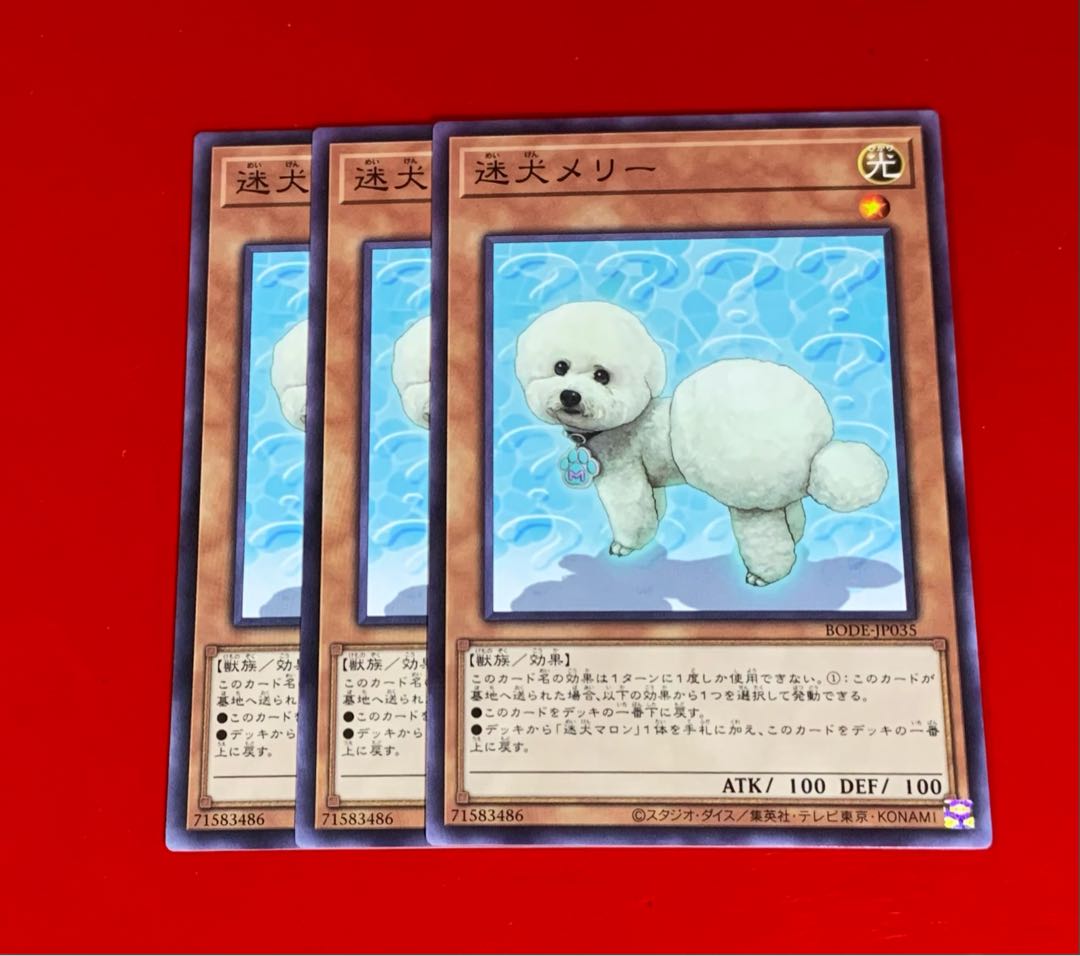 Outstanding Dog Mary NR 3 normal rare