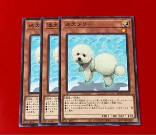 Outstanding Dog Mary NR 3 normal rare
