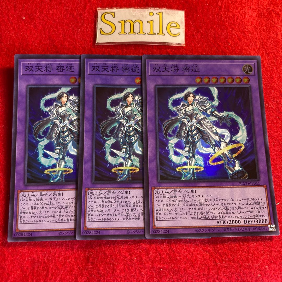 双天将 密迹#1762