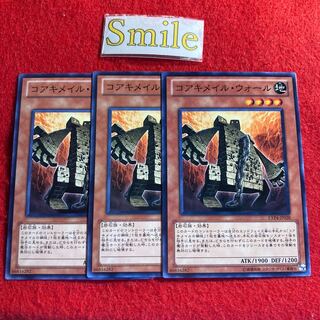 コアキメイル・ウォール#1772