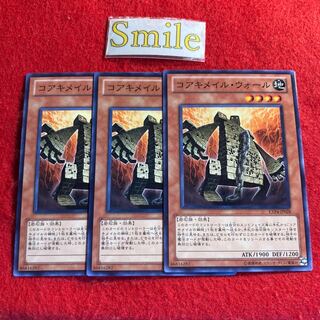 コアキメイル・ウォール#1773