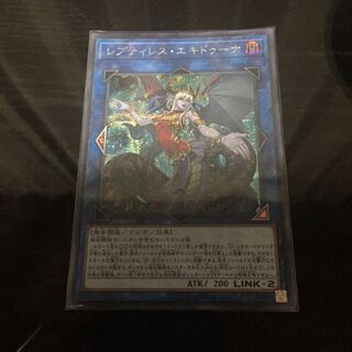 レプティレスエキドゥーナ シク