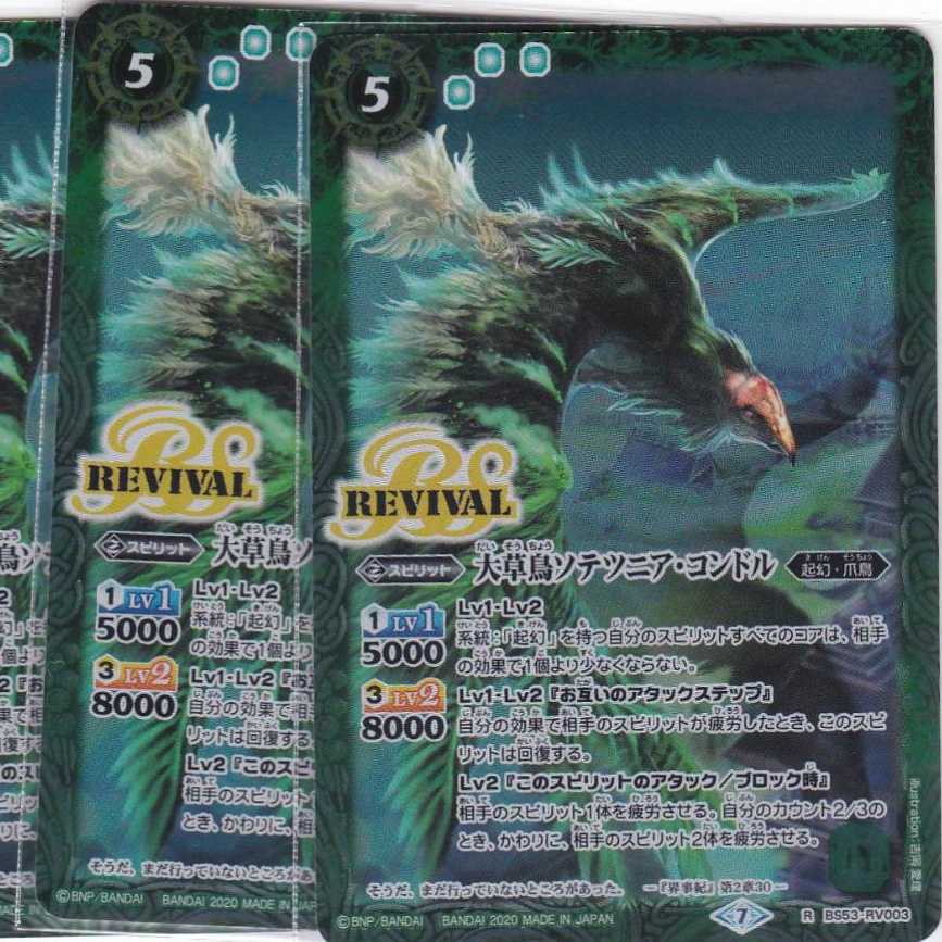 大草鳥ソテツニア・コンドル 3枚 R BS53