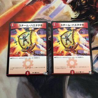 スチーム・ハエタタキ　2枚　バージョン違い