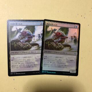 ☆破滅を導くもの二枚セット☆