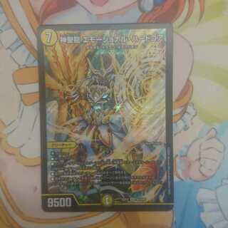 神聖龍 エモーショナル・ハードコア