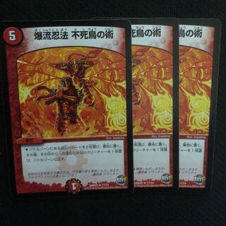 爆流忍法　不死鳥の術