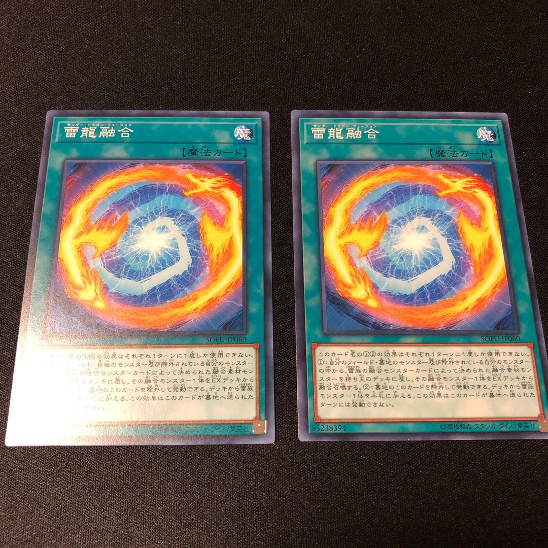 雷龍融合 ノーマル