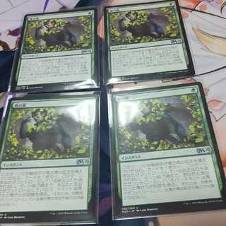 Veil of Summer 4-piece set