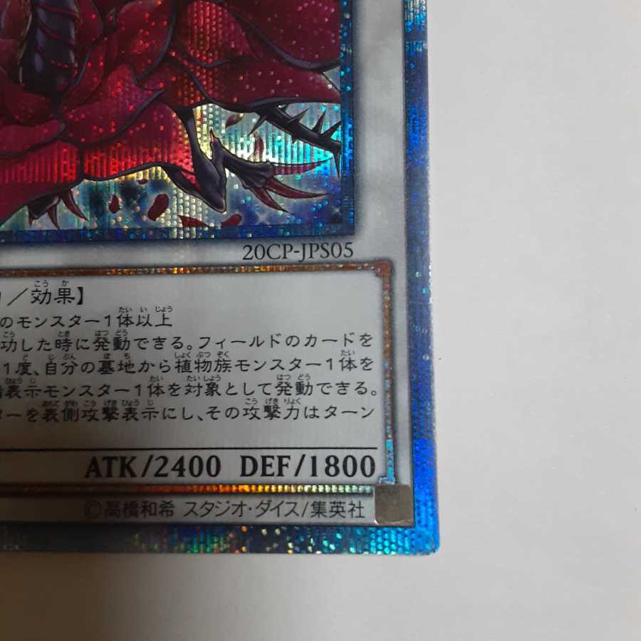 ブラック・ローズ・ドラゴン 20thシークレットレア