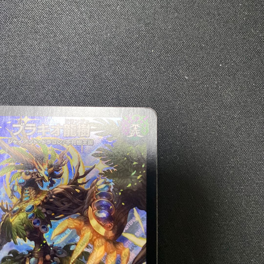 ブラキオ龍樹 SR 2枚セット　ナツ　様専用