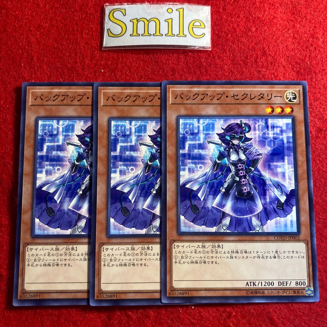 バックアップ・セクレタリー#1797