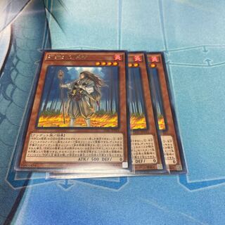 不知火の隠者 レア　3枚セット