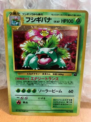 Venusaur Old Back No stars