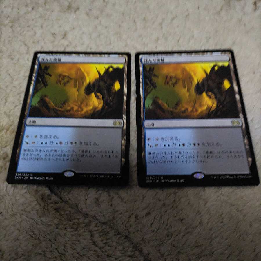 沈んだ廃墟　2XM版 日本語2枚セット