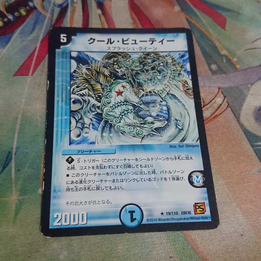 クール・ビューティー