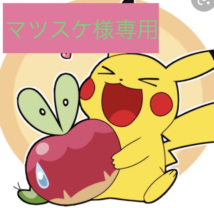 マツスケ様専用　30口