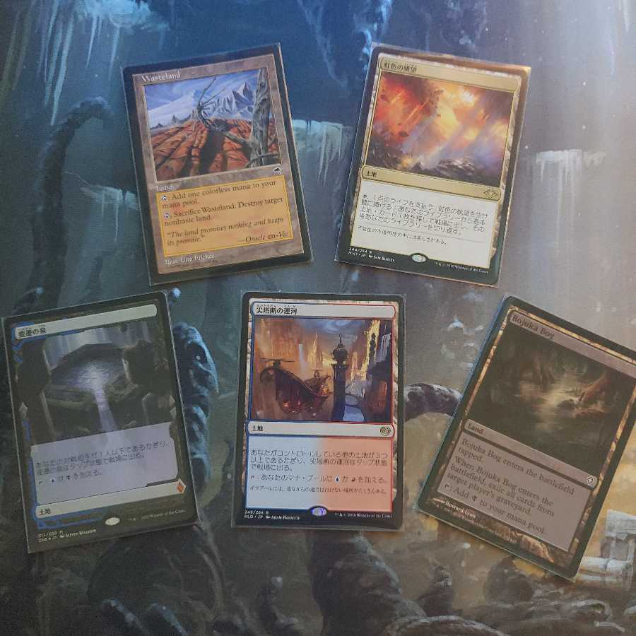 8/22更新【全50口公開】狙えフェッチランド! 土地単オリパ!