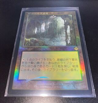 MTG Verdant Catacombs old frame FOIL Japanese version