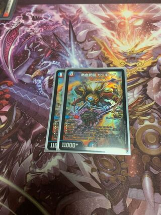 熱血武闘 カツキング2枚