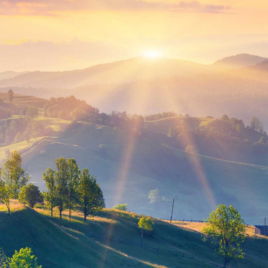 ロロ様 専用 ディール