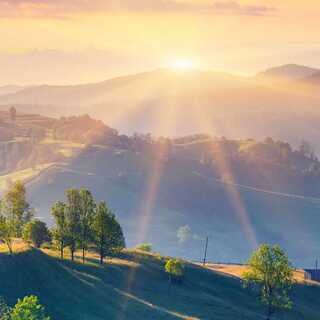 ロロ様 専用 ディール