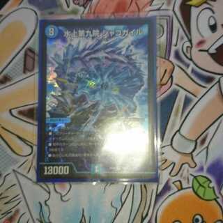 水上第九院 シャコガイル