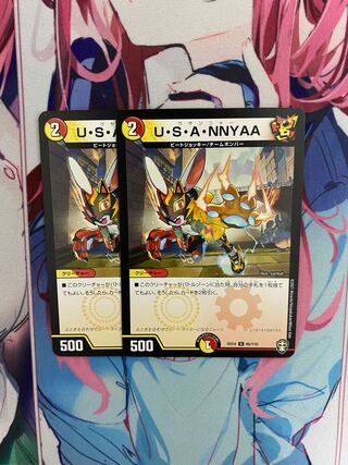 U・S・A・NNYAA 2枚セット