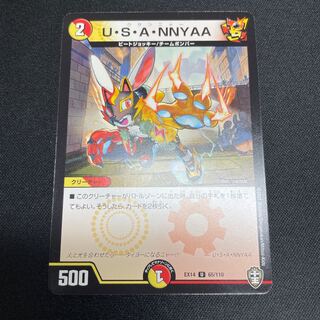 U.S.A. NNYAA