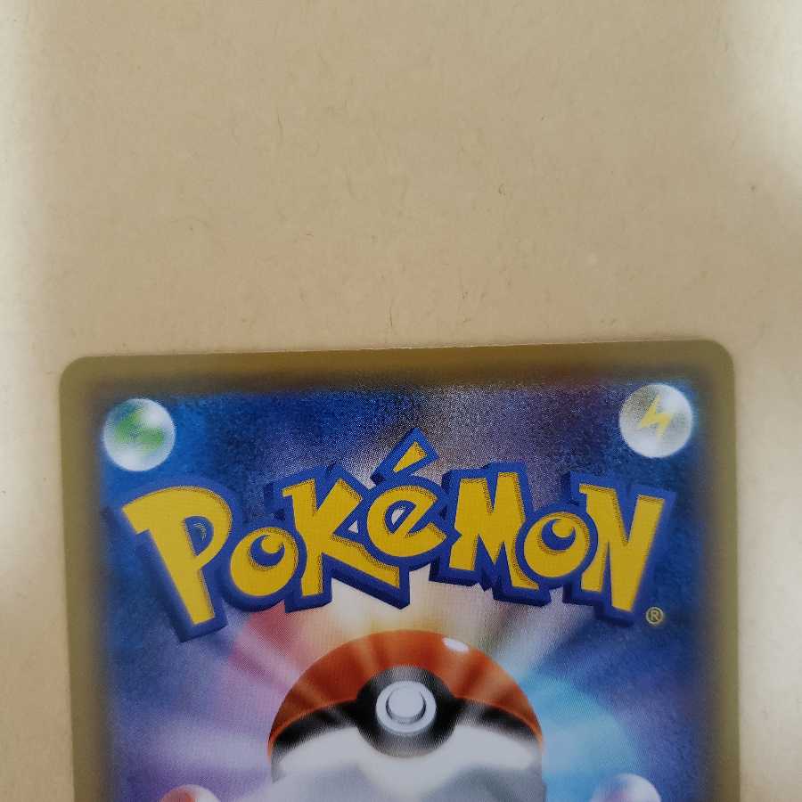 シャクヤ HR hr 2枚セット