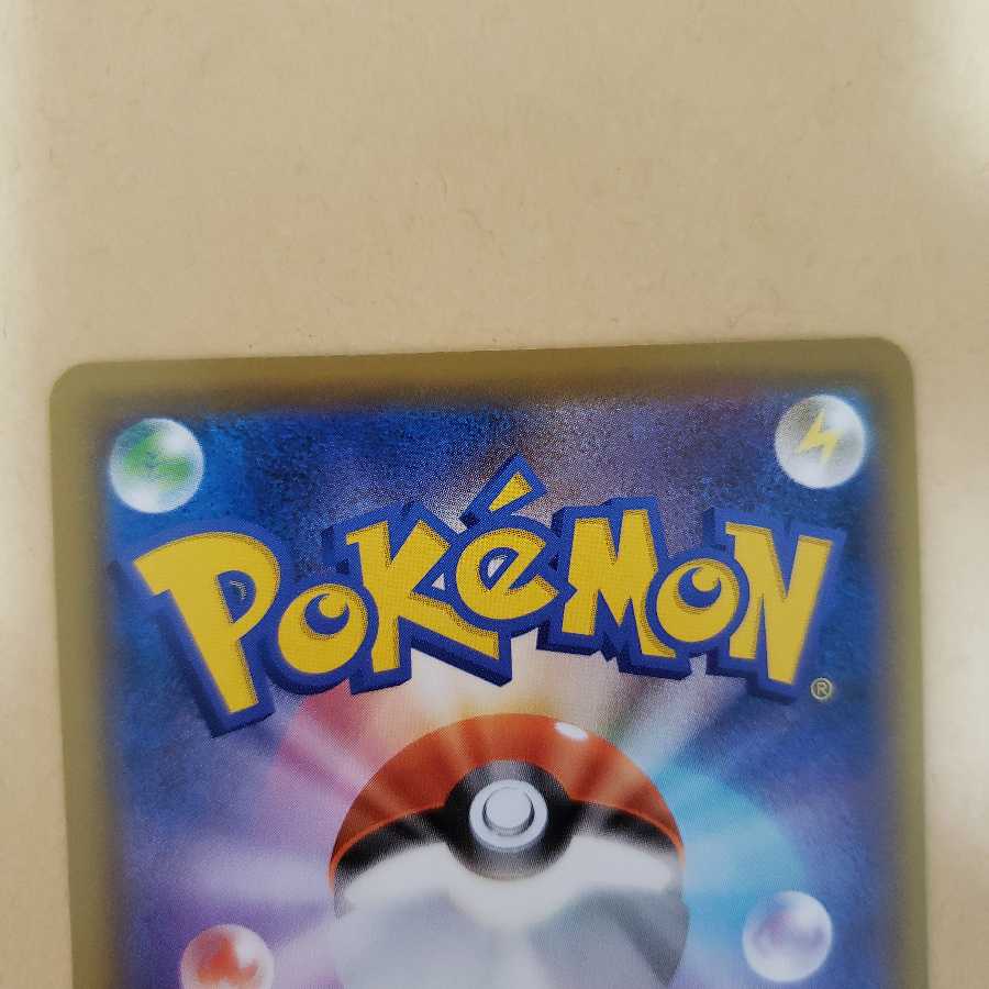 シャクヤ HR hr 2枚セット