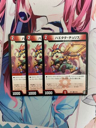 ハエタタ・チュリス 3枚セット