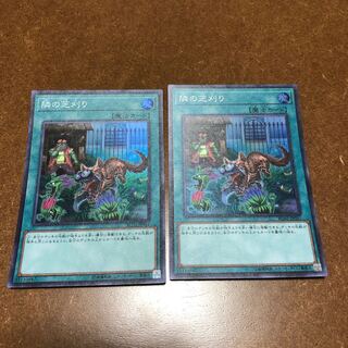 隣の芝刈り スーパーレア2枚セット