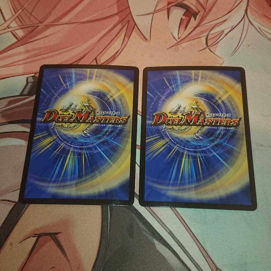 制御の翼 オリオティス R-foil