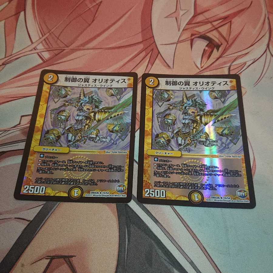 制御の翼 オリオティス R-foil