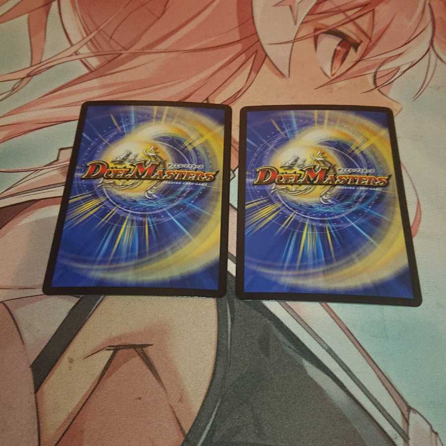 制御の翼 オリオティス R-foil