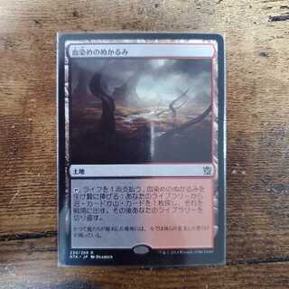 血染めのぬかるみ