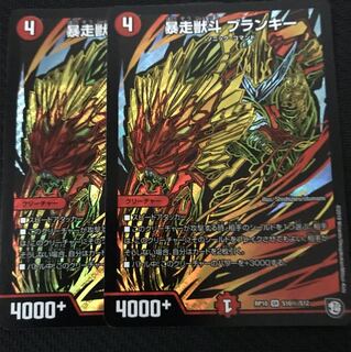 ブランキー シク 2枚セット