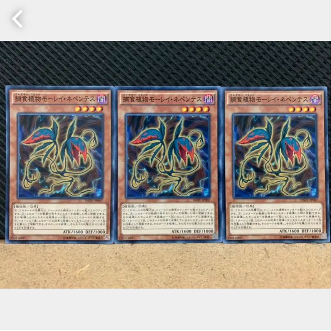 Popotan] Yu-Gi-Oh 959 Predaplant Moray Nepenthes 3 Normal