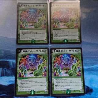 爆進イントゥ・ザ・ワイルド