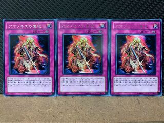 Popotan] Yu-Gi-Oh 5165 Amazoness Willpower 3 rare