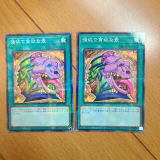 強欲で貪欲な壺