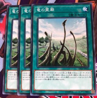 竜の霊廟 3枚